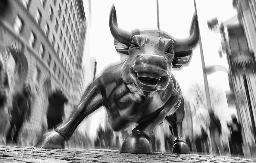 New York, USA, bull, Wall street, financial district, Black Wall Street HD wallpaper