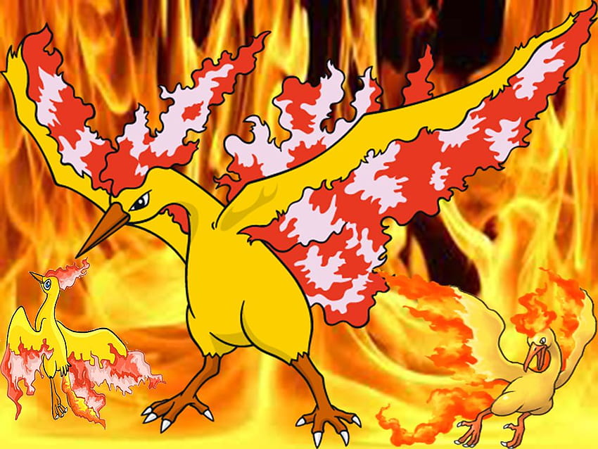 Pokemon Fire Red Legendary Birds HD wallpaper