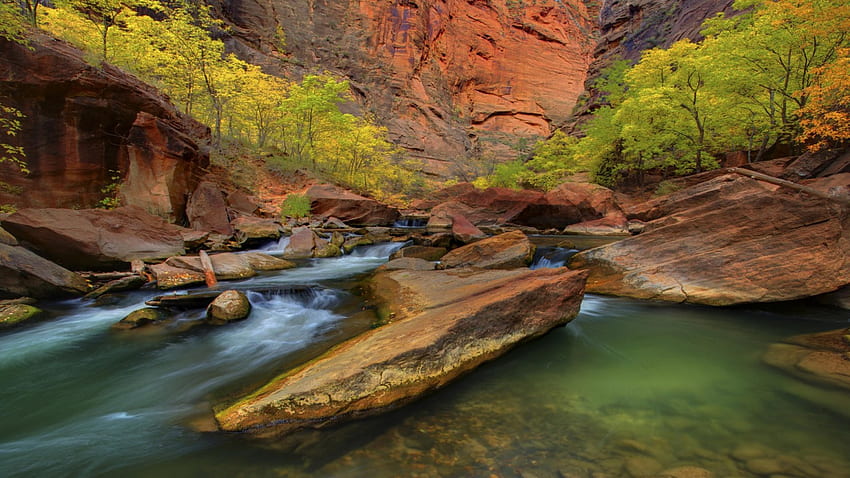 canyon stream in zion national park, trees, rocks, canyon, stream HD wallpaper