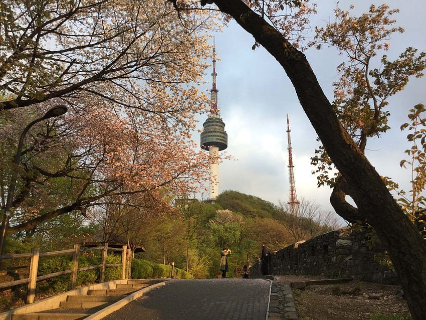 Hiking in Seoul: Namsan, Namsan Tower HD wallpaper
