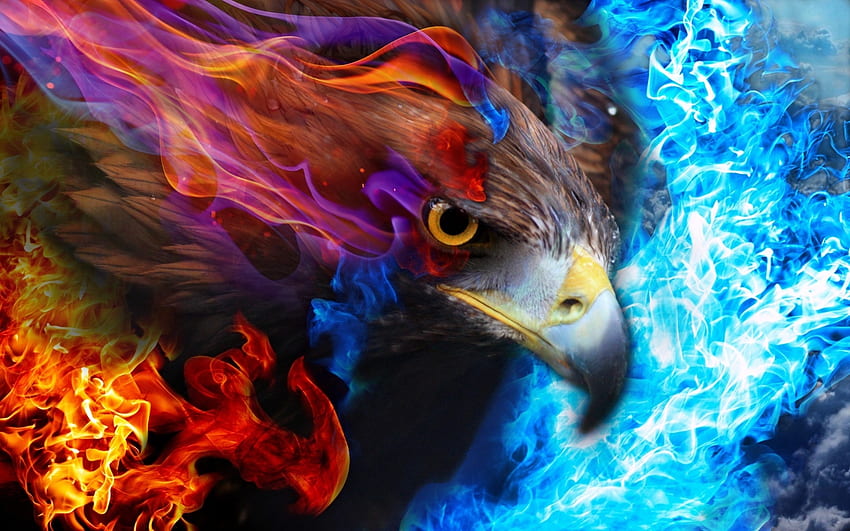 Eagle, blue, bird, fantasy, red, pasare, orange, fire HD wallpaper