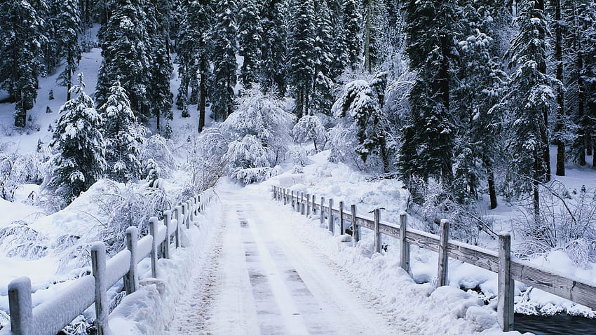 Горска зима, зима, пътека, ограда, природа, гора HD тапет