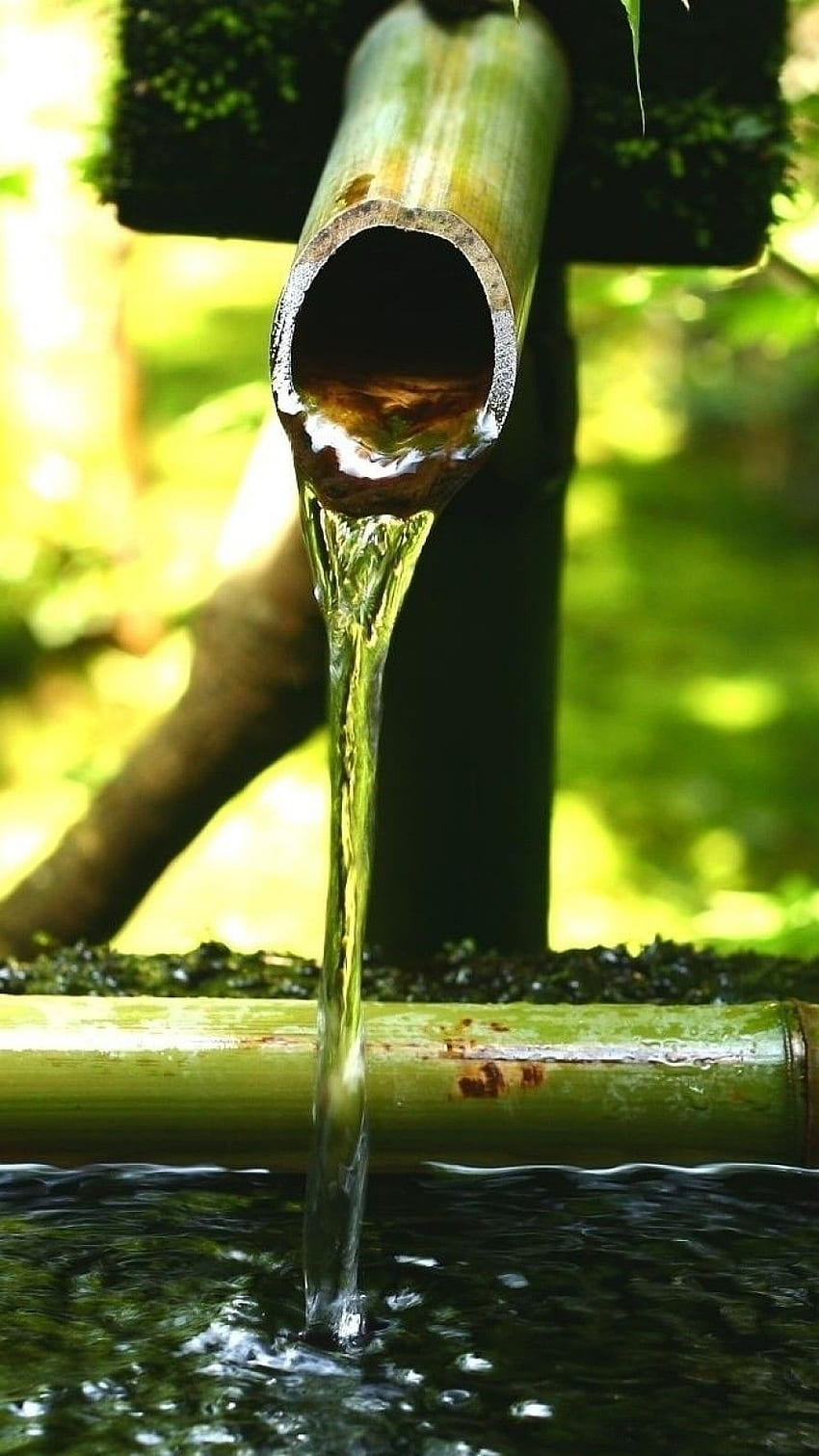 Air dari Bambu, air, bambu, alam, hijau wallpaper ponsel HD