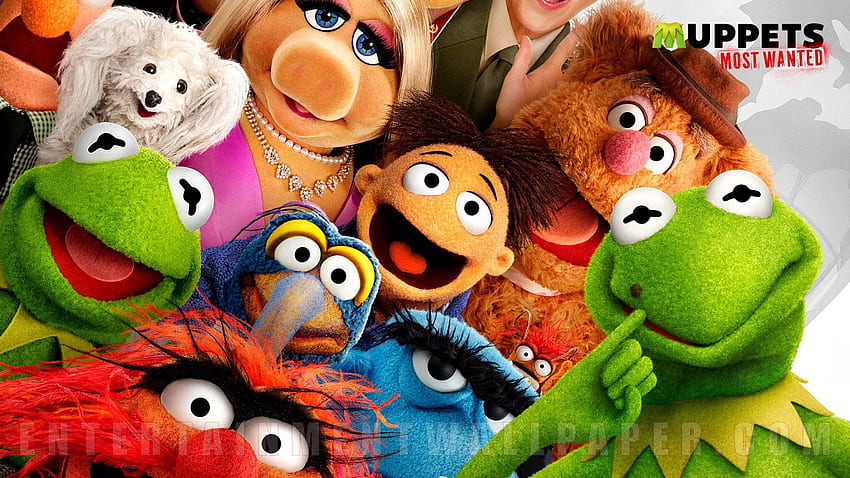 muppets most wanted 10042251 size, The Muppets HD wallpaper