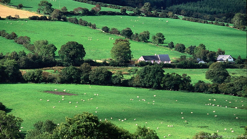 County Cork Ireland, Fields, And Stock HD wallpaper