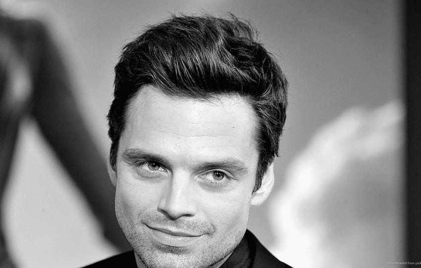 Actor, premiere, Sebastian Stan for HD wallpaper | Pxfuel