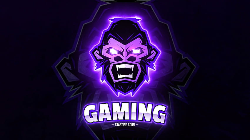Fire Gaming Youtube Channel - - - Dica, Perfil do Youtube papel de parede HD