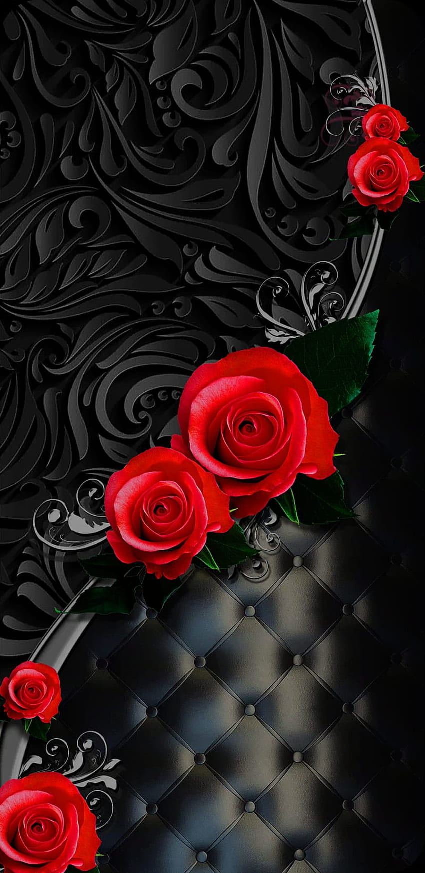 Rose, hybrid tea rose, red HD phone wallpaper