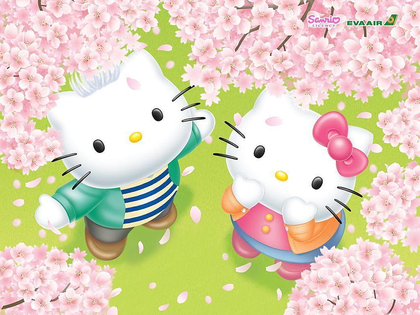 Hello Kitty And Friends, Chi Chai Monchan SANRIO JAPAN HD wallpaper ...