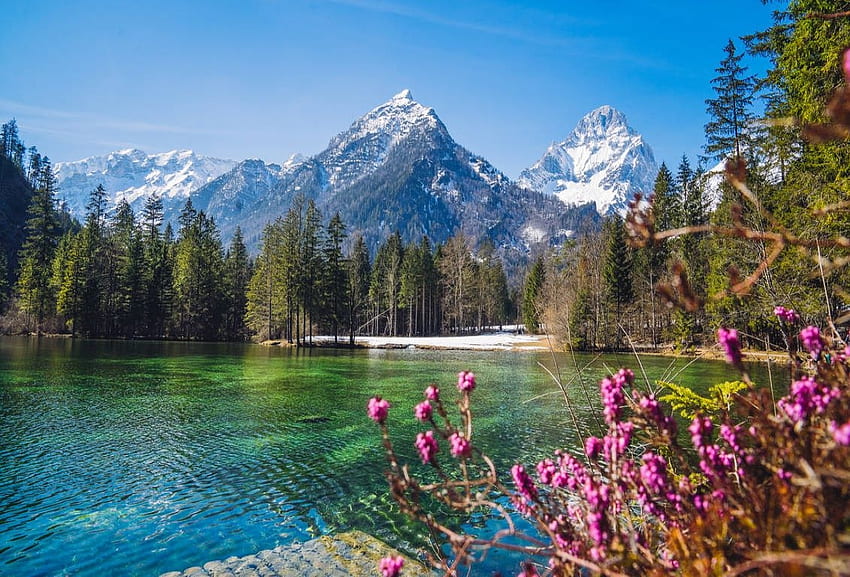 My Kind of Spring, spring, beauty, lake, reflection, snow, trees, nature, sky, flowers, forest, mountains HD wallpaper