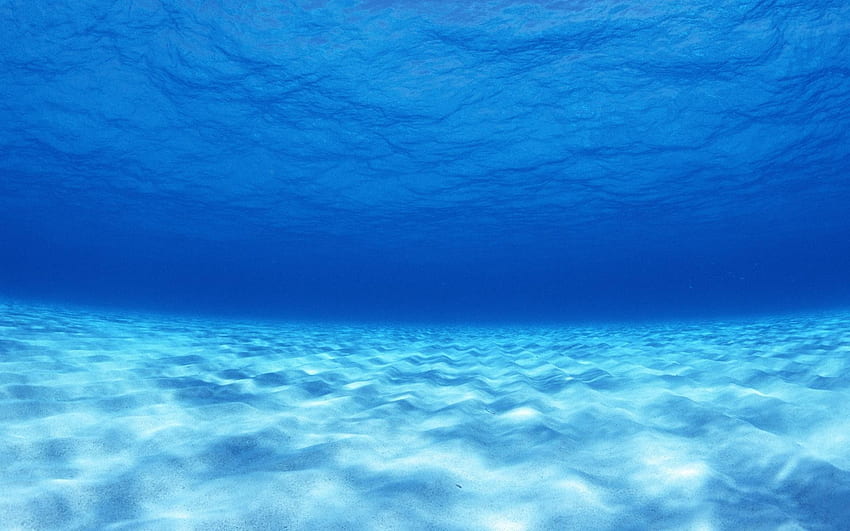 Underwater Ocean, Seabed HD wallpaper