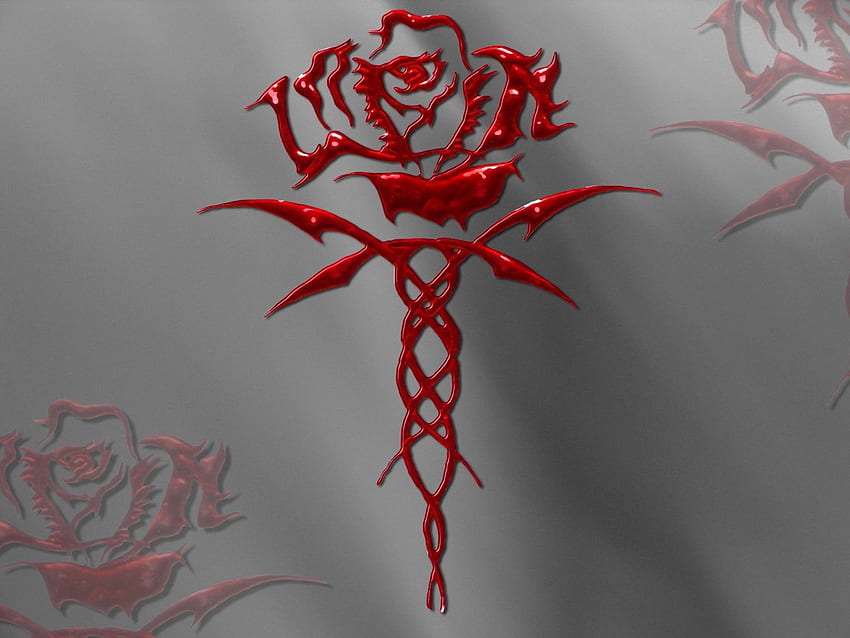 View Fullsize Bloody Rose - Bloody Rose Bloody Rose, Bloody Roses HD  wallpaper | Pxfuel