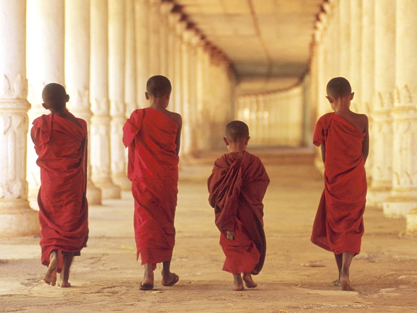 Religion Asians boys Monks Buddhist children . HD wallpaper