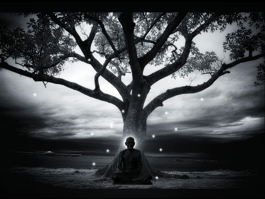Buddha in meditazione - - - Suggerimento, Buddha in meditazione Sfondo HD