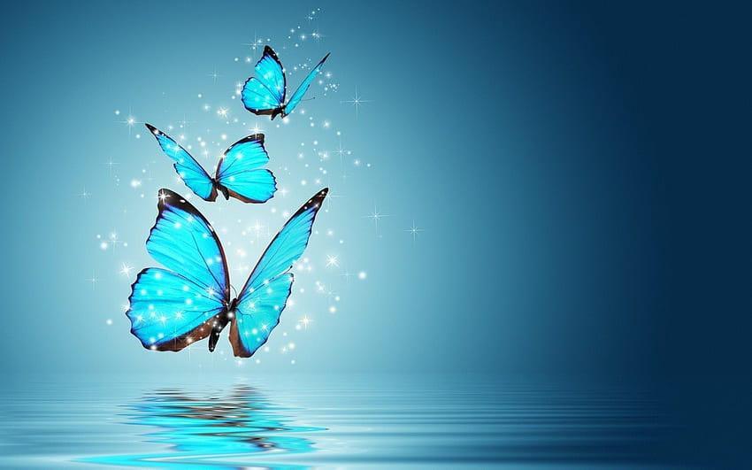 Butterfly, Autumn Butterflies HD wallpaper | Pxfuel