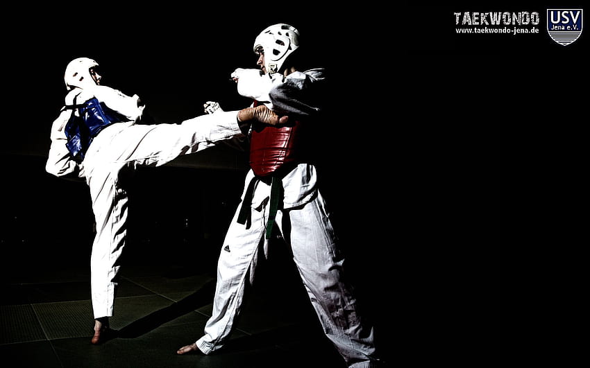 I like Sparring!! It helps me relieve my stress!!. Taekwondo, Martial arts HD wallpaper