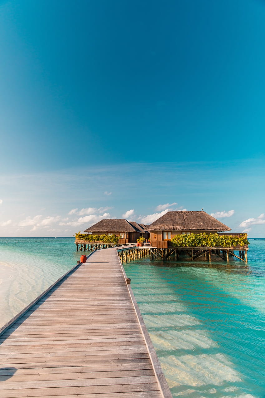 brown wooden dock on blue sea under blue sky during daytime – Meeru island HD phone wallpaper