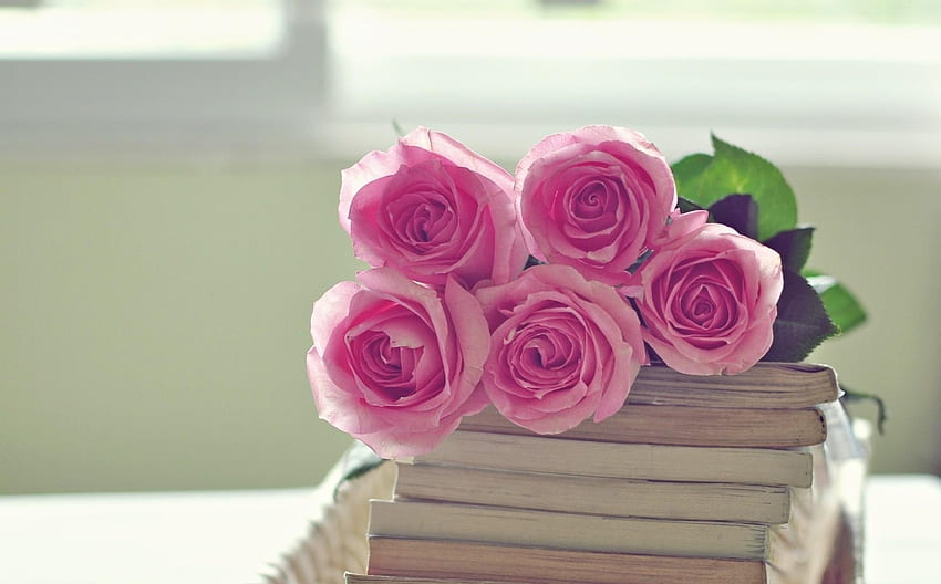 Kwiaty, róże, książki, bukiet Tapeta HD