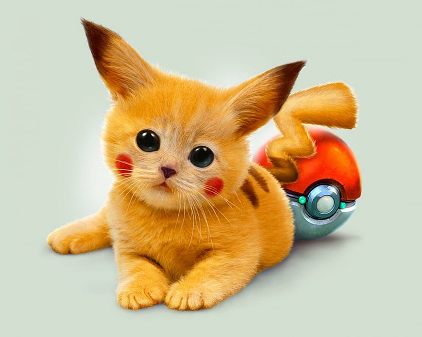 Pikachu Kitten, kitten, Pikachu, red, pokeball, adorable, cut, pokemon HD wallpaper
