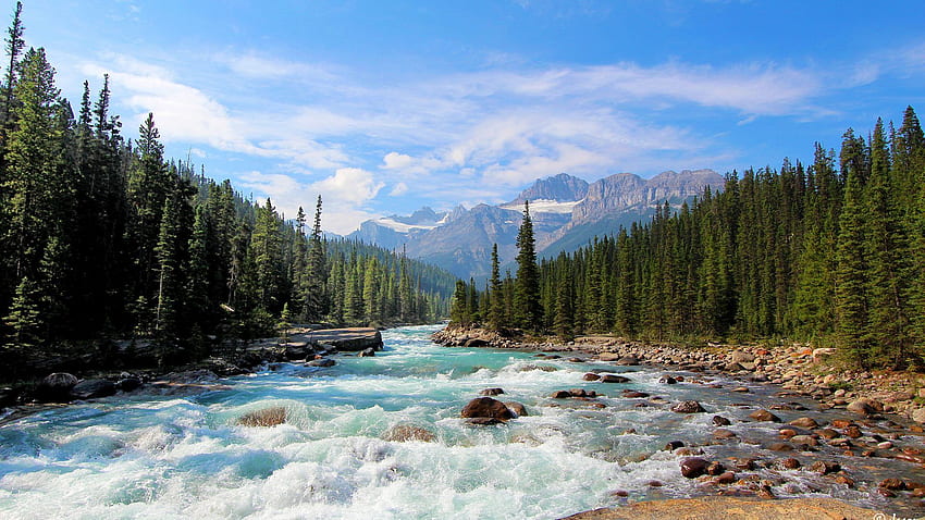 River Bow Banff National Park Alberta Canada For HD wallpaper