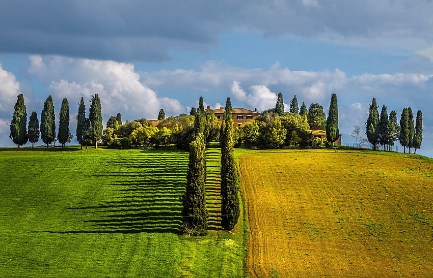 Tuscany, Italy, Field, Trees, Villages, Clouds, Spring, Green, Nature, Landscape / and Mobile Background HD wallpaper