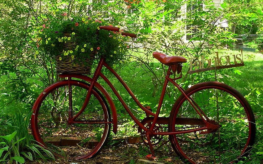 The nostalgic memory bicycles. Bicycle, Red bike, Red bicycles HD wallpaper