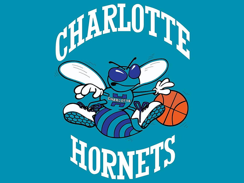 Charlotte Hornets, Charlotte Bobcats HD wallpaper | Pxfuel