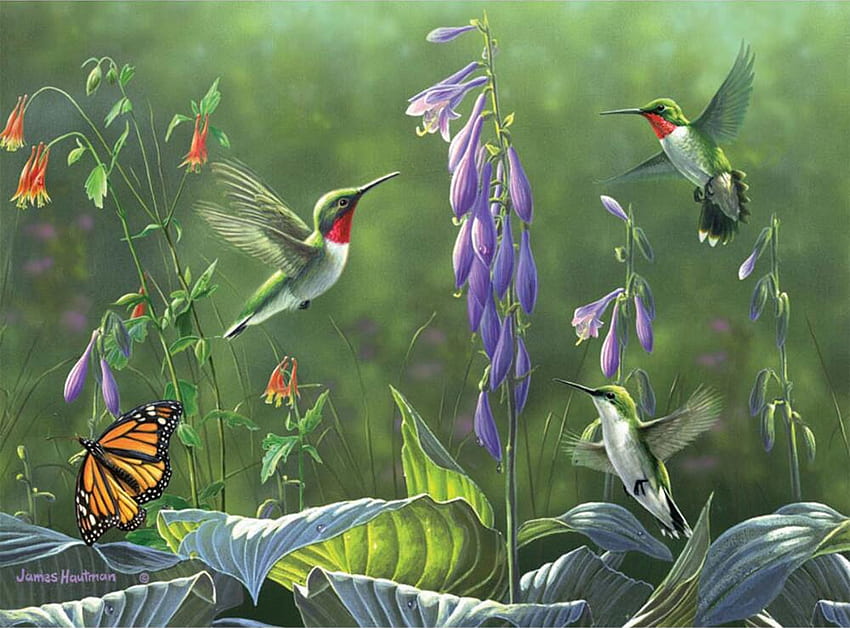 Spotkanie przy fioletowych dzwoneczkach, ptaszki, kolibry, kwiaty, małe, malutkie Tapeta HD