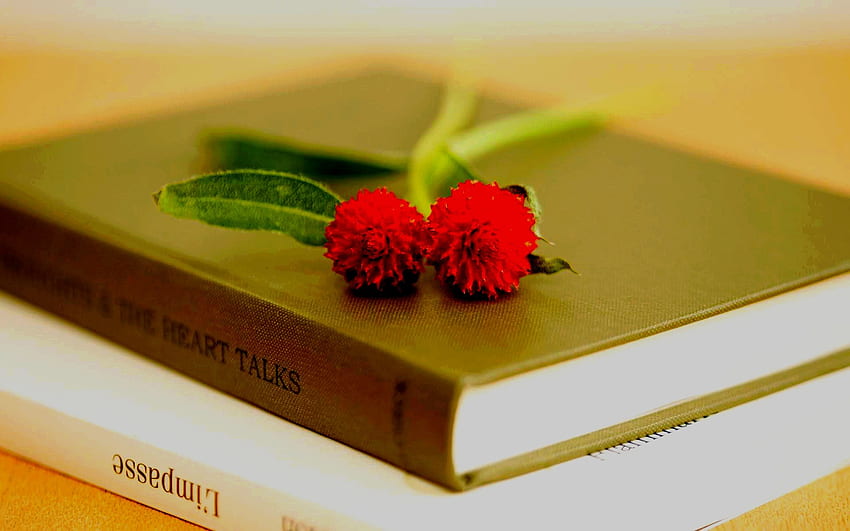 flowers on the books, Yellow Flowers Books HD wallpaper