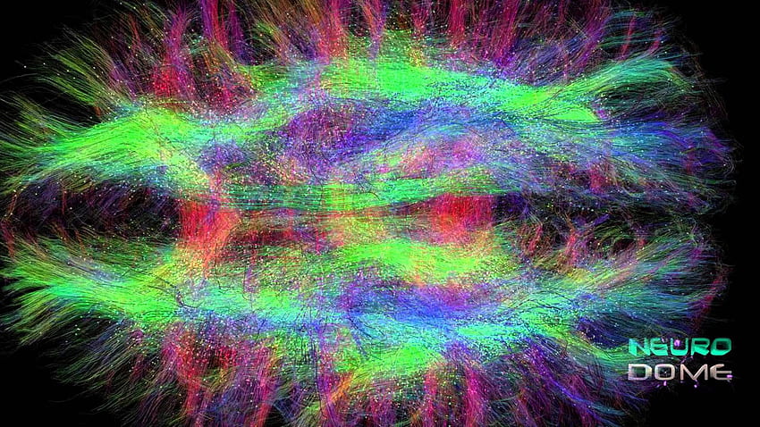 脳内の接続を明らかにする拡散テンソル (DTI)。 診断、電子顕微鏡、ブレインアート 高画質の壁紙
