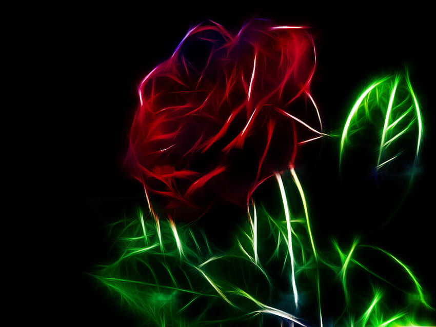 아름다운 프랙탈 장미, 장미, 아름다운, 프랙탈, 빨강 HD 월페이퍼