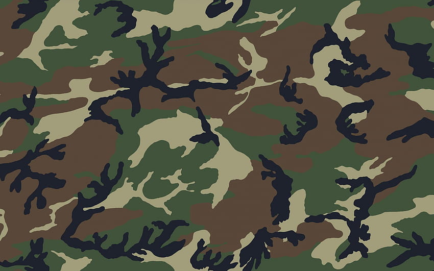 grüne Tarnstruktur, militärische Textur, Sommertarnung, grüner Tarnhintergrund, militärische Hintergründe HD-Hintergrundbild