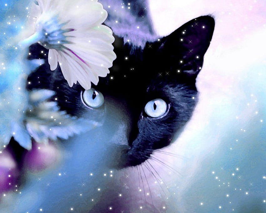 Lindos gatos negros, gato negro kawaii fondo de pantalla