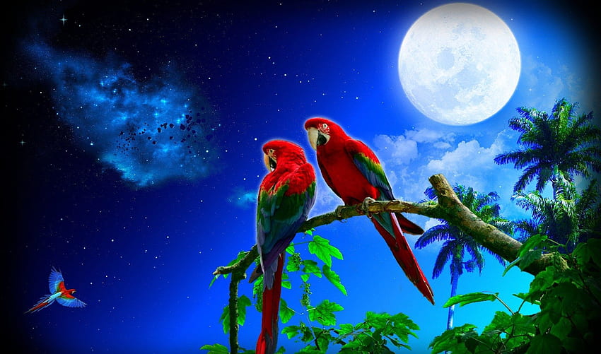 Macaw Parrot Bird 4K Ultra HD Mobile Wallpaper