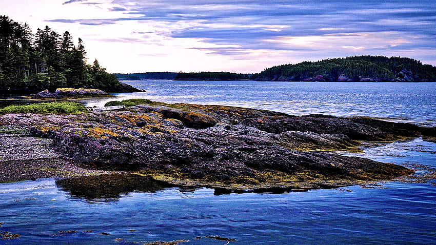 Black Harbor, New Brunswick, alberi, nuvole, cielo, acqua, Canada Sfondo HD