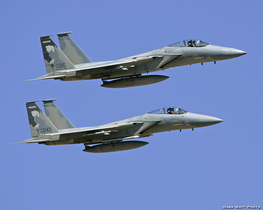 F-15C Eagles, usaf, orzeł, orły, odrzutowiec, Douglas, siły powietrzne, mcdonnell, myśliwiec, f15 Tapeta HD