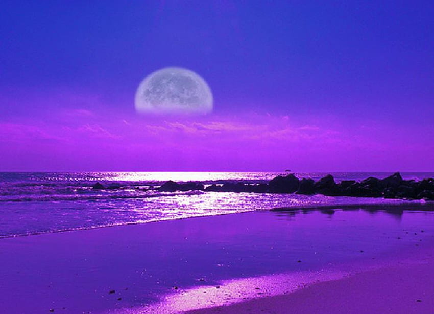 คืนสีม่วง สีฟ้า หมอกสีม่วง การสะท้อน ดวงจันทร์ ท้องฟ้า น้ำ ชายหาด วอลล์เปเปอร์ HD