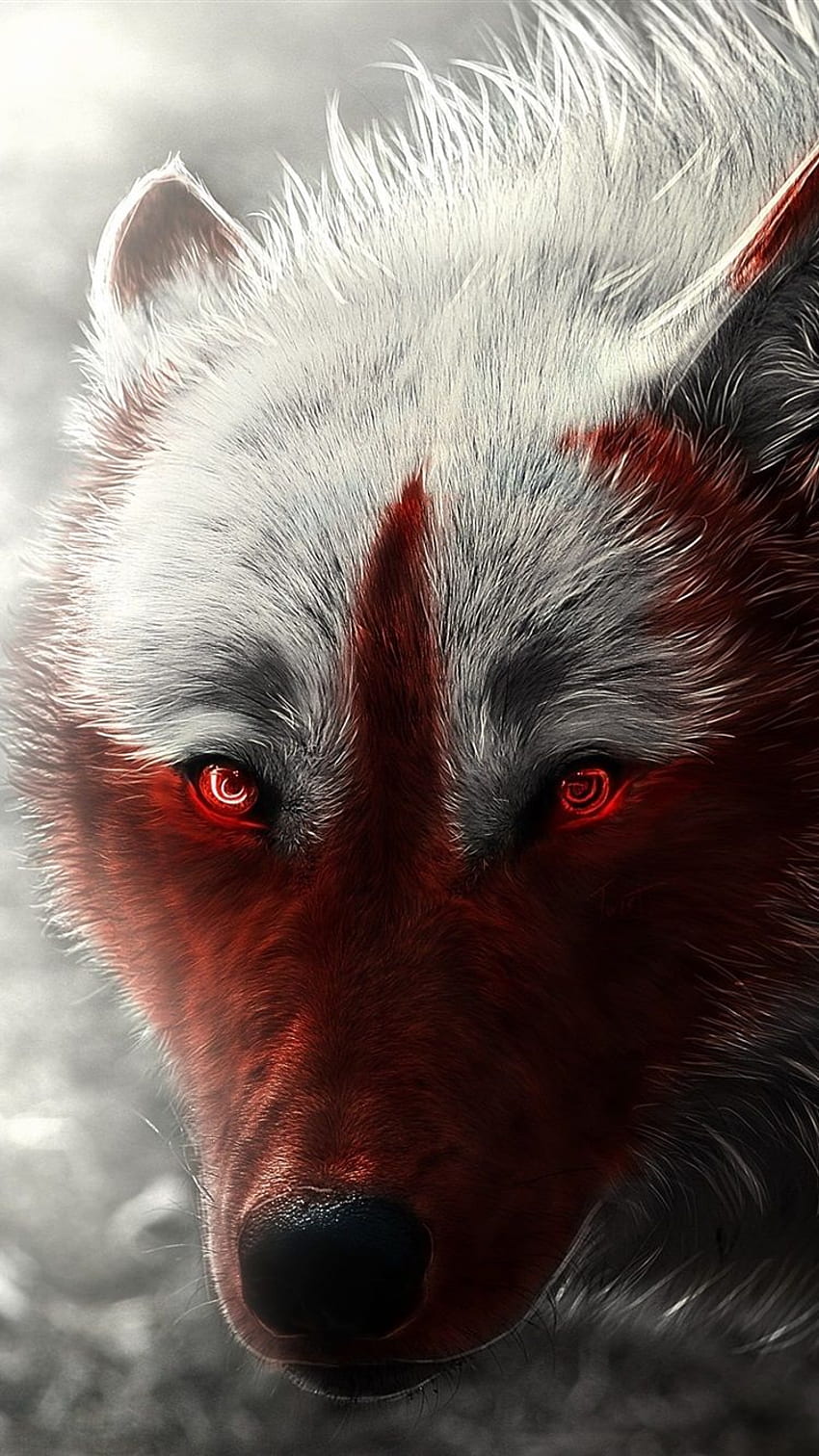 Wallpaper ID 145870  dark creature artwork animals red eyes glowing  eyes wolf free download