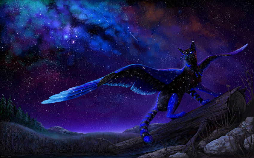 Nachtkatze, schwarz, Fantasie, Kunst, Katze, dunkel, blau, Nacht, Flügel, Sterne, Luminos HD-Hintergrundbild