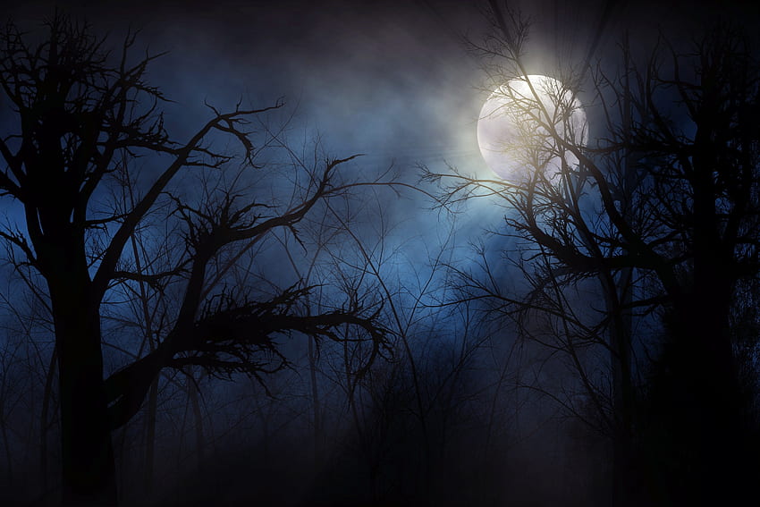 Spooky, Fog, Moon, Trees, Clouds, Sky HD wallpaper