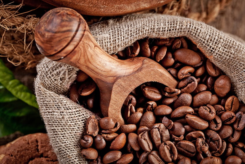Kaffee, Bohnen, Tuch, Blätter, Kaffee HD-Hintergrundbild