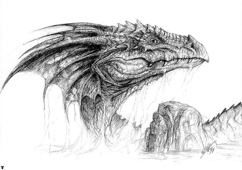 Dragon Head Sketch - Bob Eggleton HD wallpaper | Pxfuel