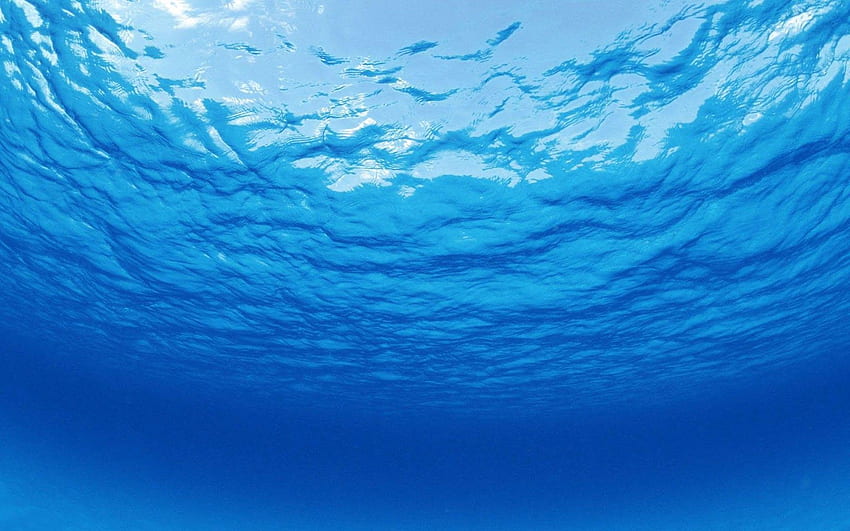 Unter Ozeanhintergrund. , , Hintergrund, Unter dem Meer HD-Hintergrundbild