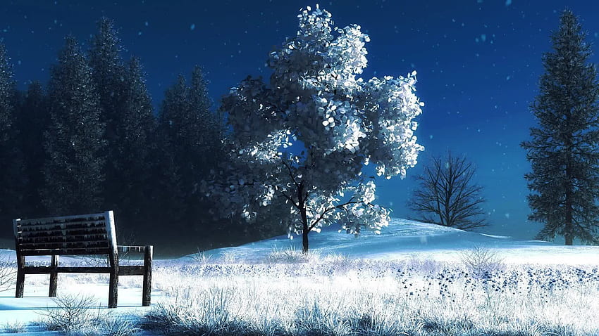 Park in Winter Snow Live, Snowy Anime HD wallpaper