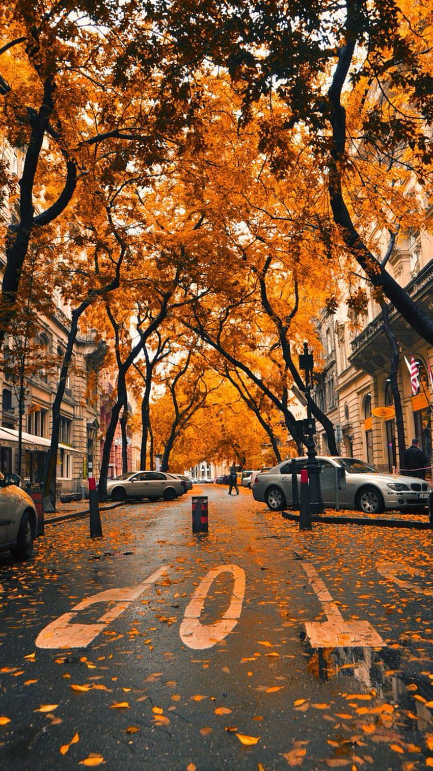 London In Autumn HD phone wallpaper | Pxfuel