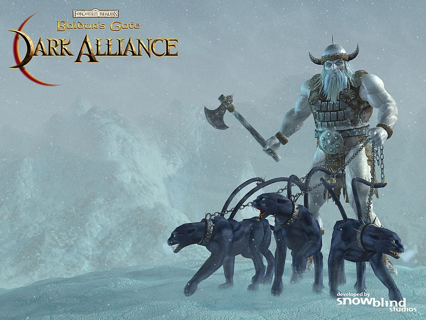 Dark Alliance, viking, fantaisie, jeu, alliance, sombre Fond d'écran HD