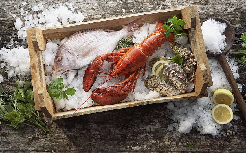 Food, Ice, Box, Fish, Seafood, Mussels, Lobster HD wallpaper