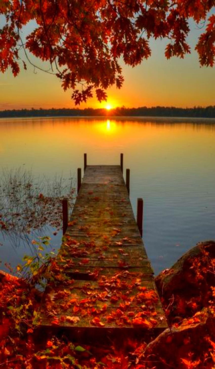 Jesienny wschód słońca 2. Piękne krajy, piękna przyroda, piękny świat Tapeta na telefon HD