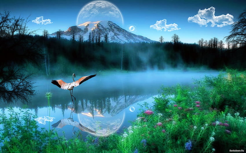 Landscape, Birds, Rivers, Storks HD wallpaper