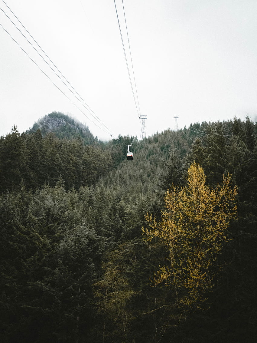 Nature, Trees, Mountains, Forest, Height, Cable Car, Cableway HD phone wallpaper